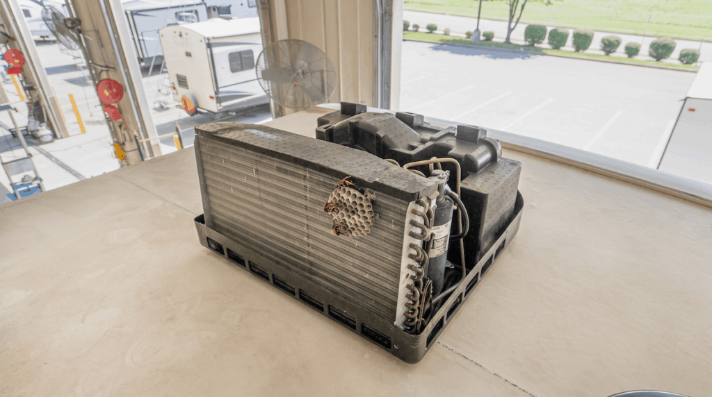 wasp nest on rv air conditioner